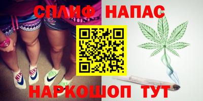 Альфа ПВП Можга