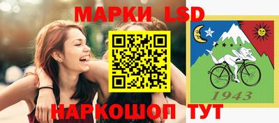 Альфа ПВП Можга