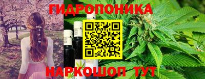 Альфа ПВП Можга