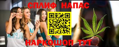 Альфа ПВП Можга