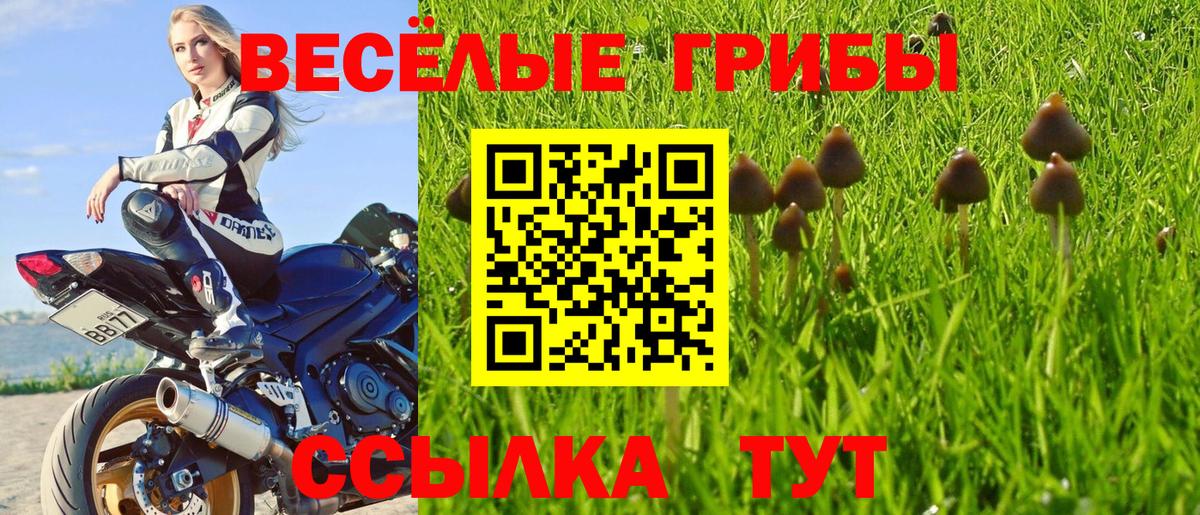 Галлюциногенные грибы мицелий Спасск-Дальний