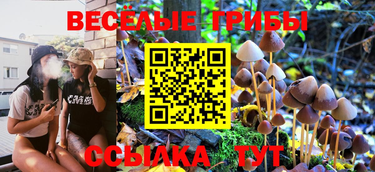 Галлюциногенные грибы Psilocybine cubensis  Вход с VPN  Галлюциногенные грибы мицелий  Спасск-Дальний 